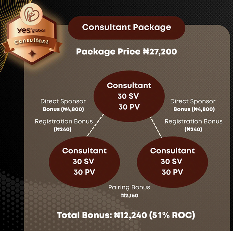 Yes Global Consultant Package